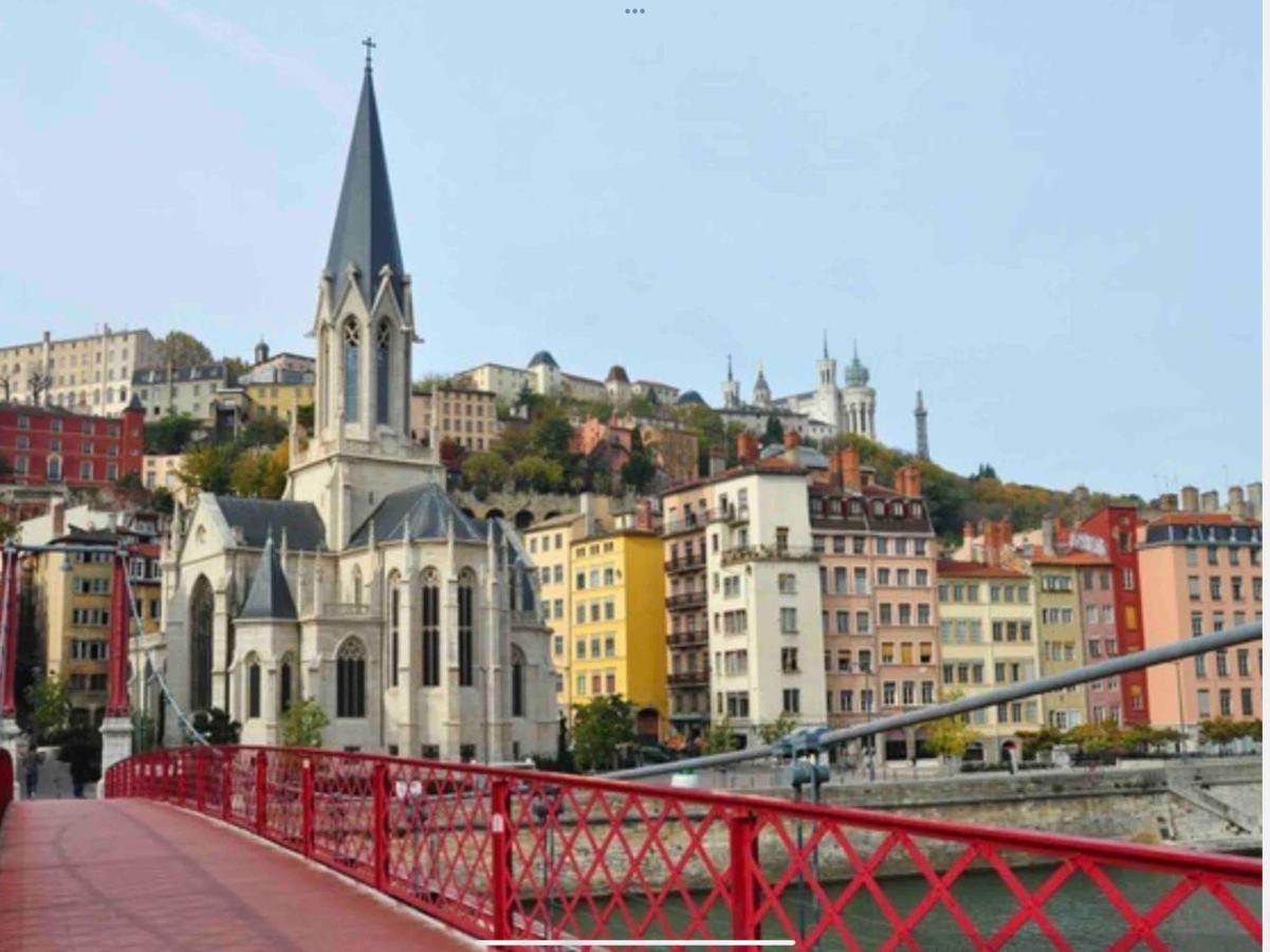 Beau Duplex Avec Jardin Et Vue Apartman Lyon Kültér fotó