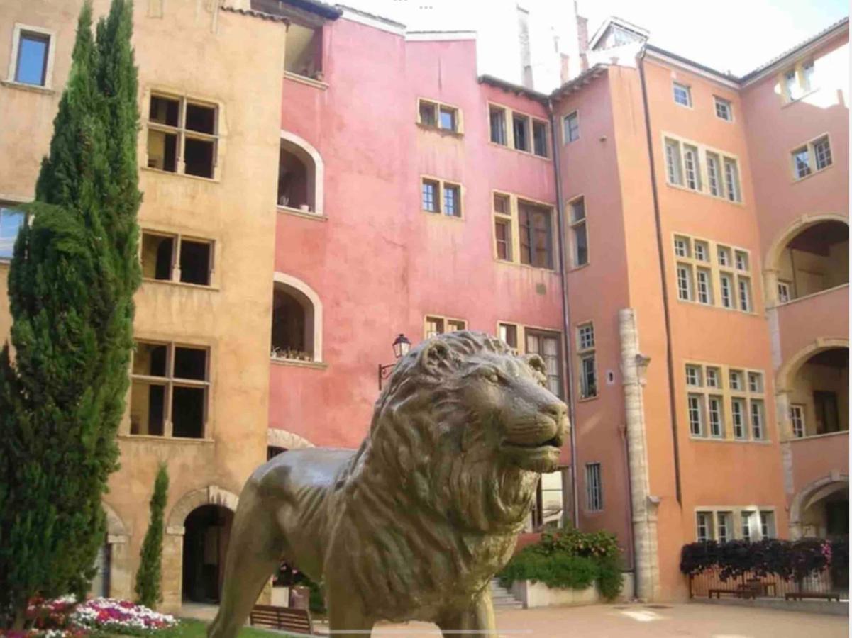 Beau Duplex Avec Jardin Et Vue Apartman Lyon Kültér fotó